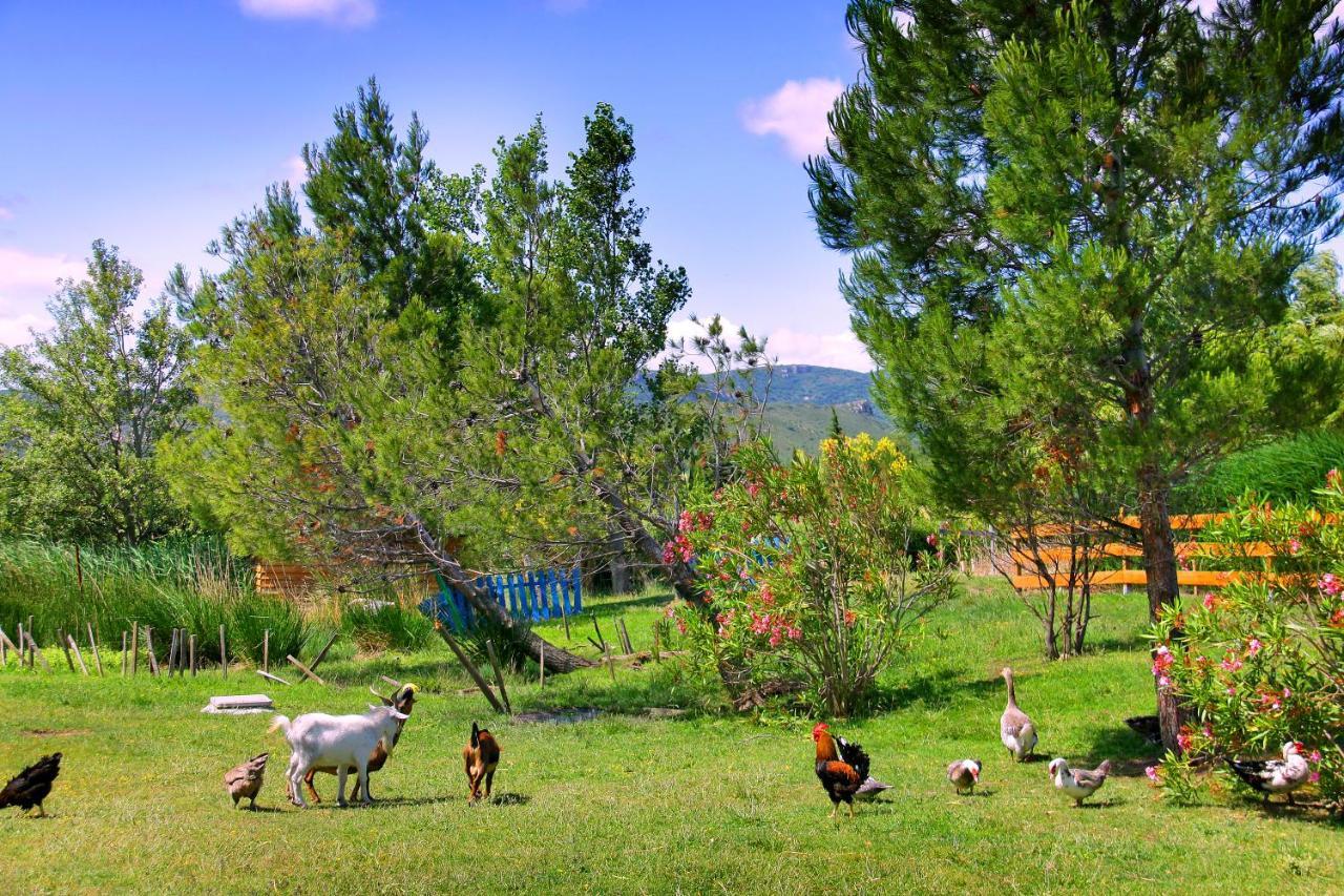 Camping la Peiriere Tuchan Esterno foto